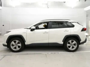 Used Toyota RAV4 Hybrid G 4WD 2019 auction grade 4