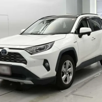 Toyota RAV4 Hybrid G 4WD 2019 white SUV from Japan